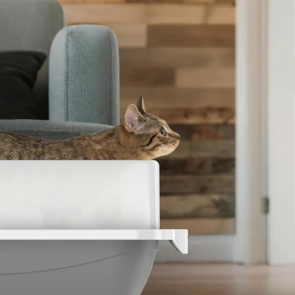 Cat sitting on a white and grey litter box in a room with a wooden wall
