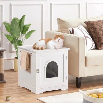 Cat sitting on a white litter box in a living room with a couch and plant.