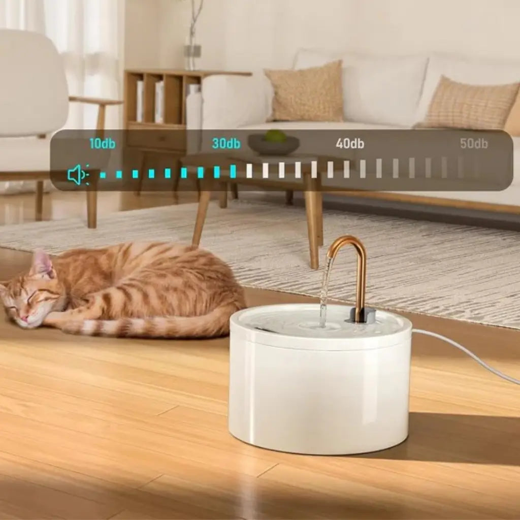Cat sleeping on a wooden floor with a quiet white pet fountain in the foreground, in a living room setting