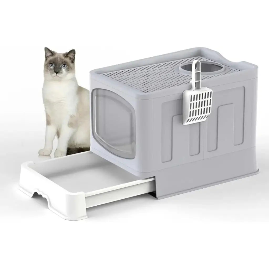 Cat standing next to a gray and white litter box on a white background