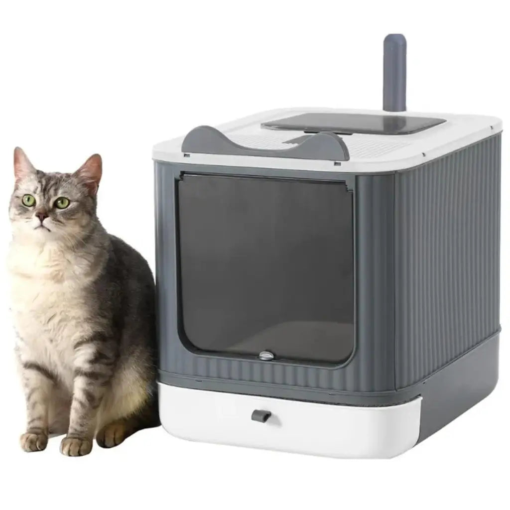 Cat standing next to a modern litter box on a white background