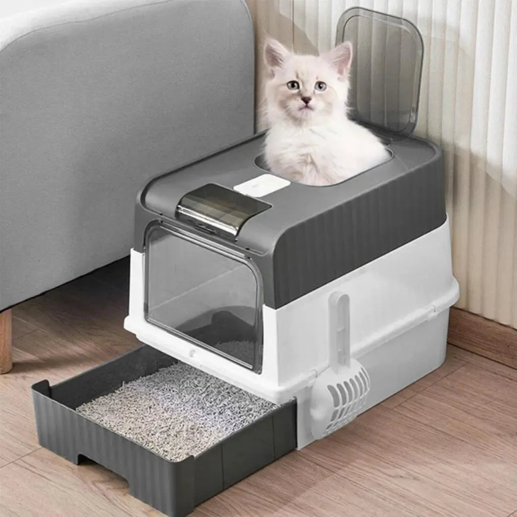 Cat using a modern litter box with a transparent lid in a home setting