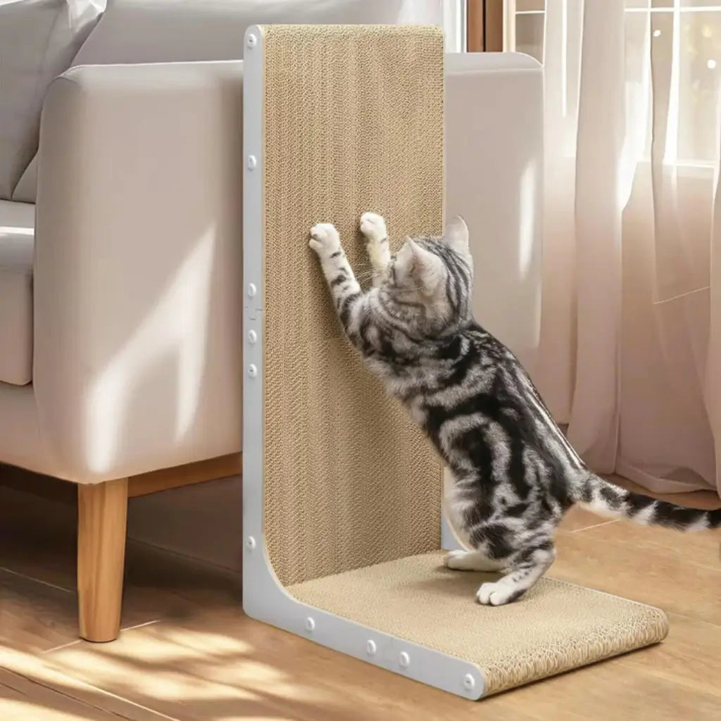 Cat using a scratching post against a white sofa in a well-lit room
