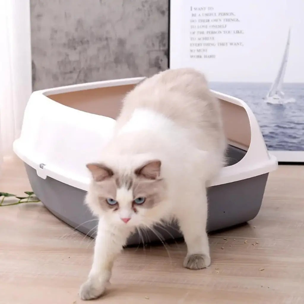 Cat walking out of a white and gray litter box on a wooden floor