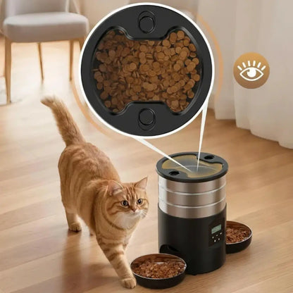 Cat walking towards an automatic pet feeder with a close-up of food being dispensed