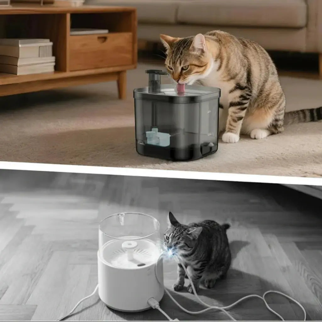 Cats interacting with pet water fountains with and without electicity cable in a home setting