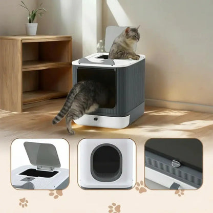 Cats using a modern litter box in a home setting with close-up insets