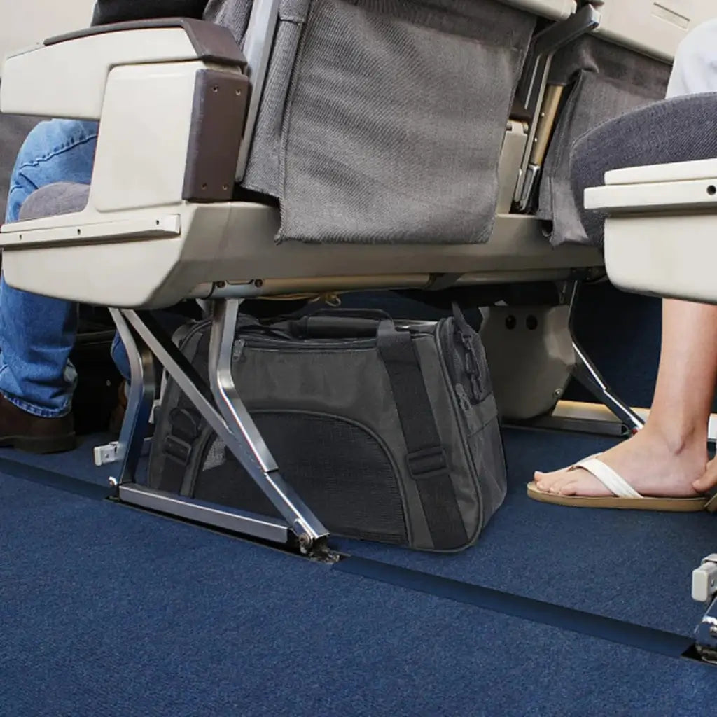 Close-up of airplane seats with a pet carrier between them on a blue carpeted floor