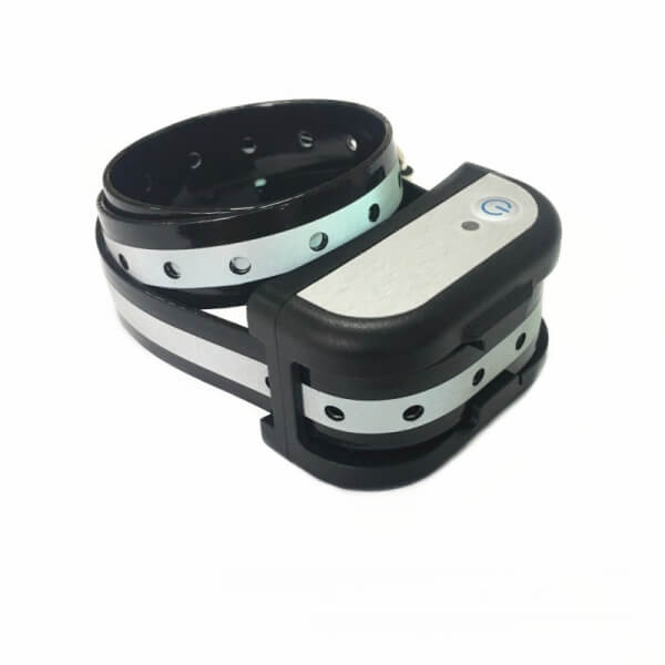 Close-up of the BoundaryPro waterproof receiver collar with reflective TPU strap