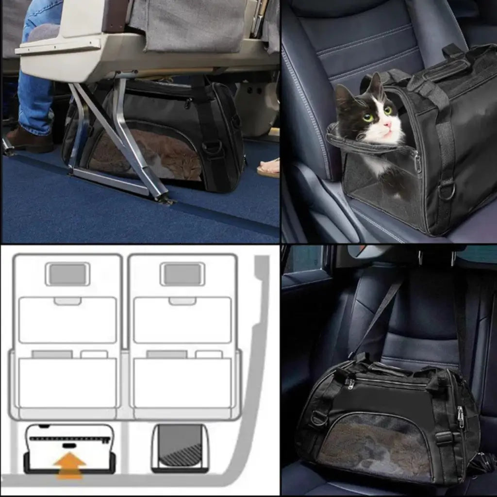 Collage of a pet carrier in use, including a diagram of a car seat with a pet carrier