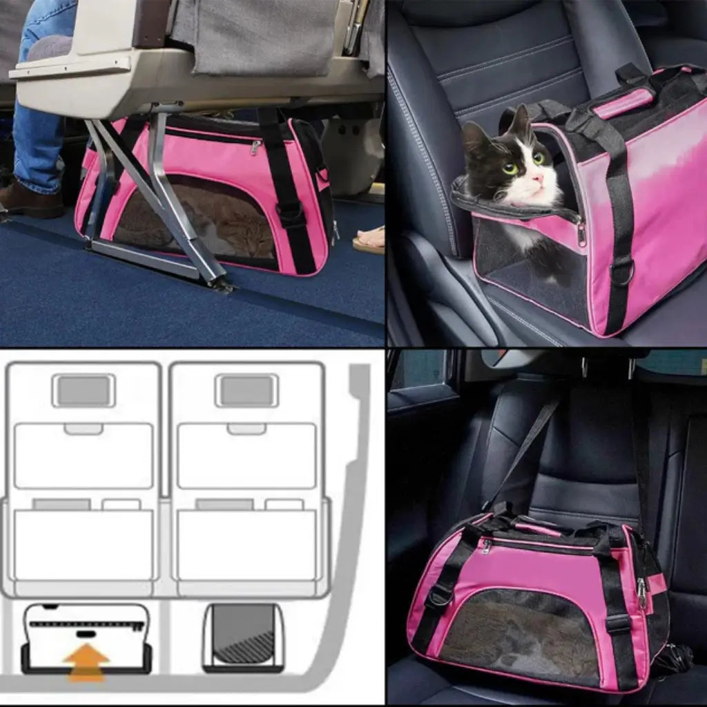 Collage of a pink pet carrier with a cat inside, used in a car and on the floor