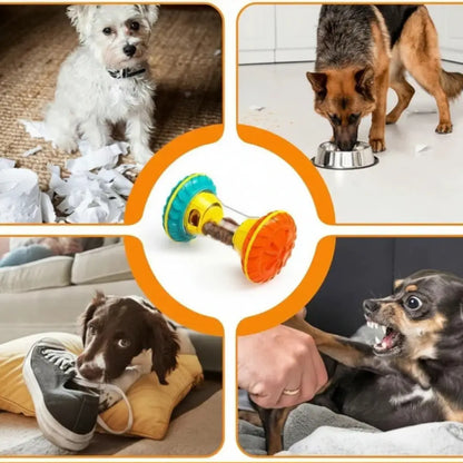 Collage of dogs interacting with a colorful dog toy, with close-ups of the toy and dogs in various settings