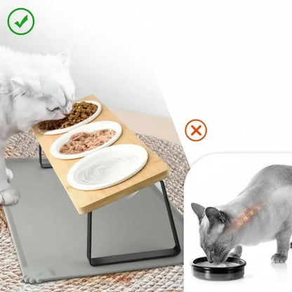 Comparison of a raised pet feeder and a normal bowl with a cat eating from each