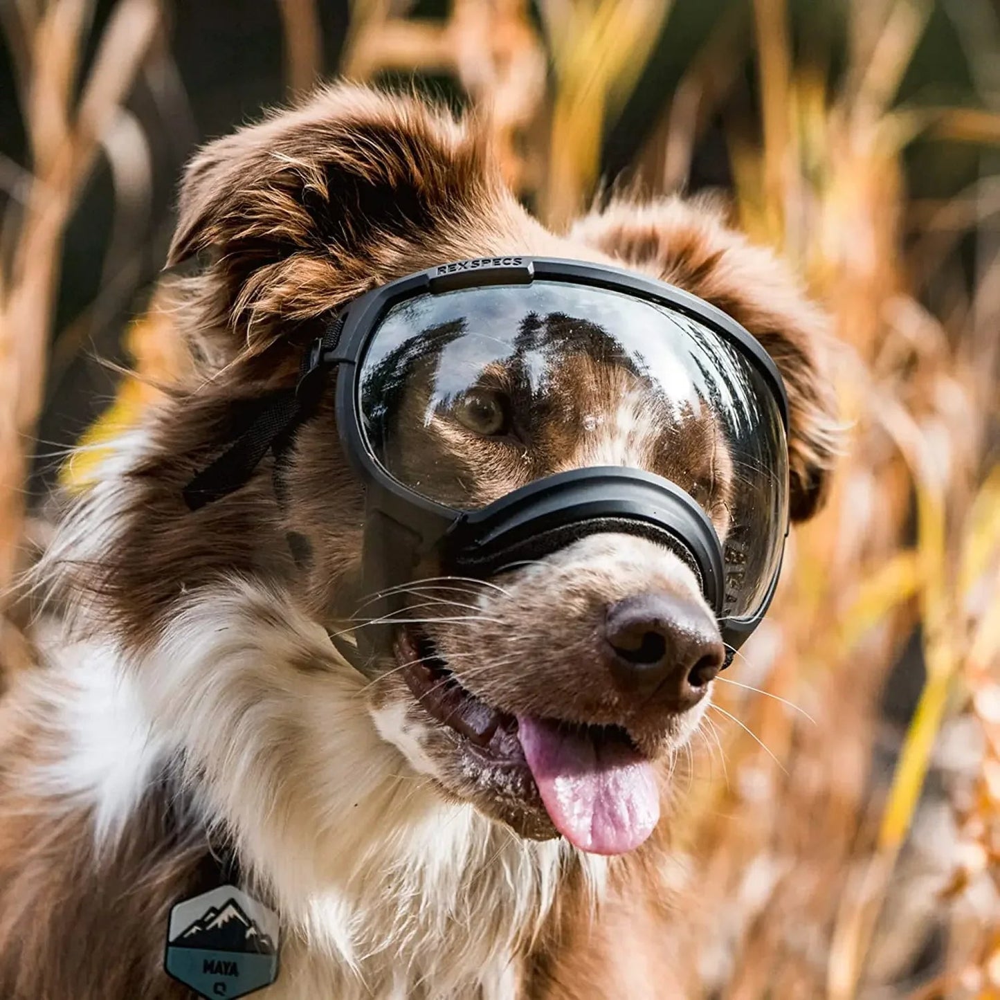 Trendy Pet Shades | Waterproof Dog Sun Glasses