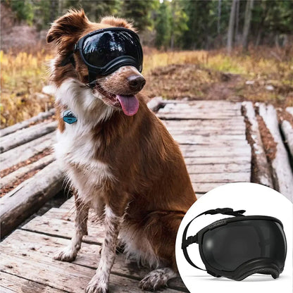 Trendy Pet Shades | Waterproof Dog Sun Glasses