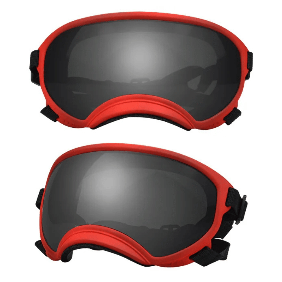 Trendy Pet Shades | Waterproof Dog Sun Glasses