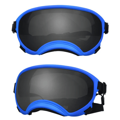 Trendy Pet Shades | Waterproof Dog Sun Glasses