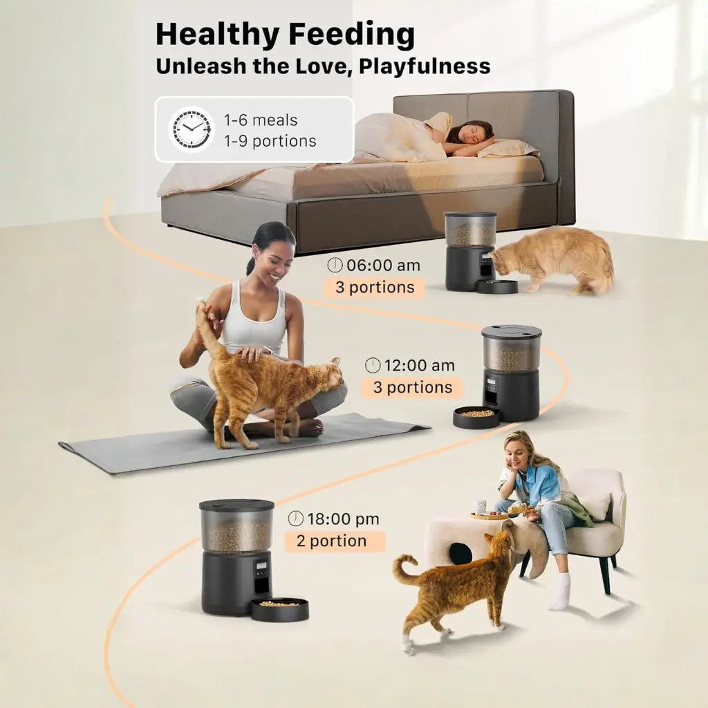 Diagram showing a woman with a cat, a pet food dispenser, and text about healthy feeding routines