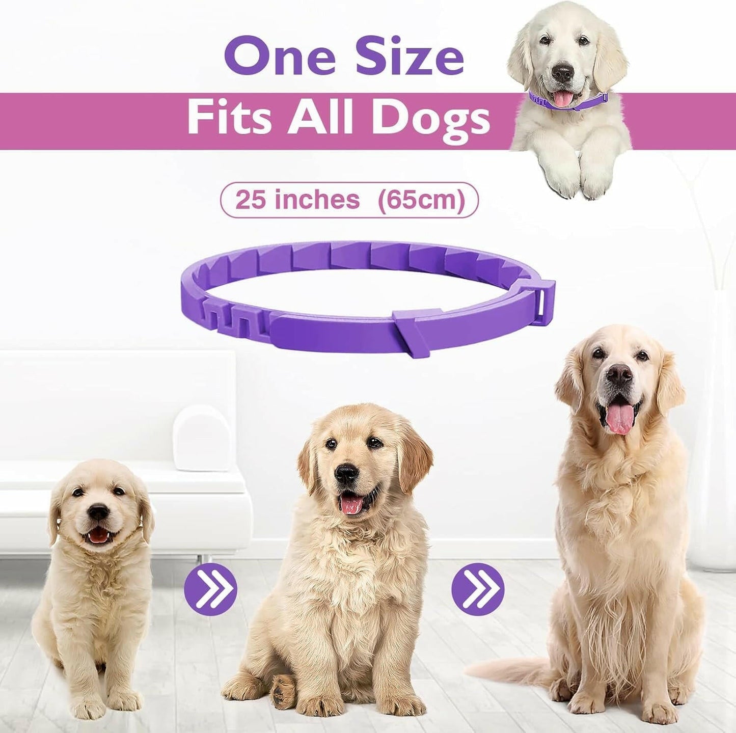 Calm Dog Anxiety Collar with Natural Pheromones