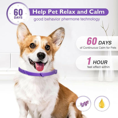Calm Dog Anxiety Collar with Natural Pheromones