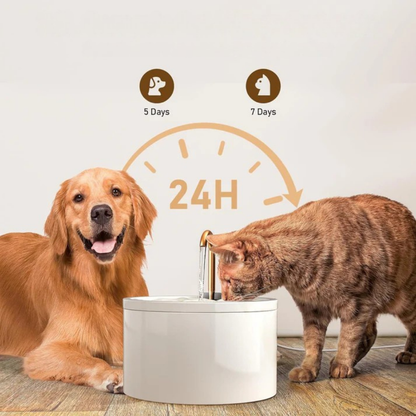 Dog and cat using a pet water fountain with a timer graphic