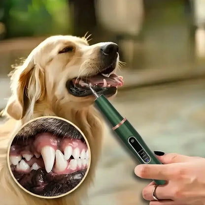 Dog being brushed with a green dog tooth scaler, inset showing close-up of clean teeth.