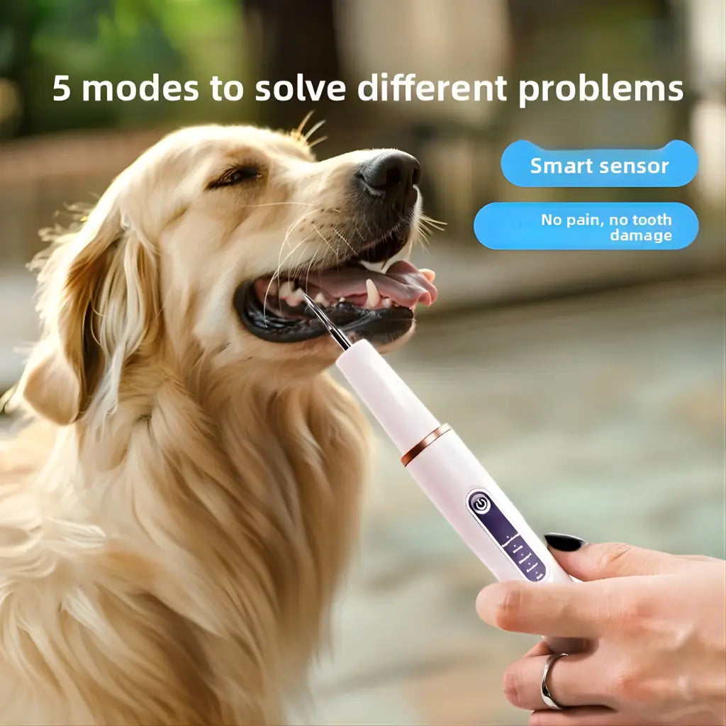 Dog being brushed with a pet tartar, with text about smart sensor technology and no pain, no tooth damage.