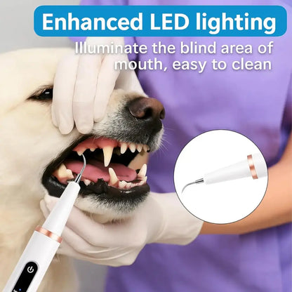 Dog being examined with a tartar remover, emphasizing enhanced LED lighting for better visibility