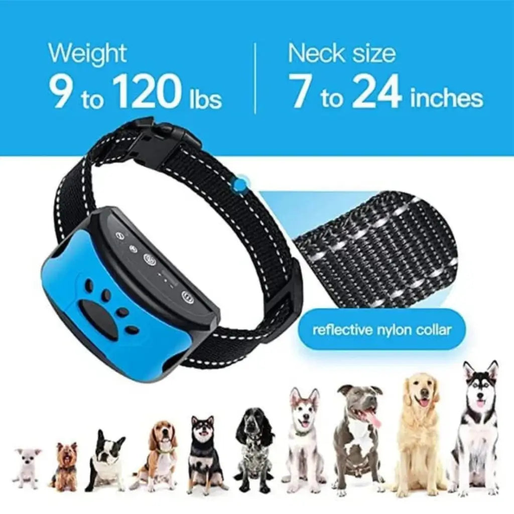 Dog collar with adjustable size range and reflective nylon material, displayed against a blue background