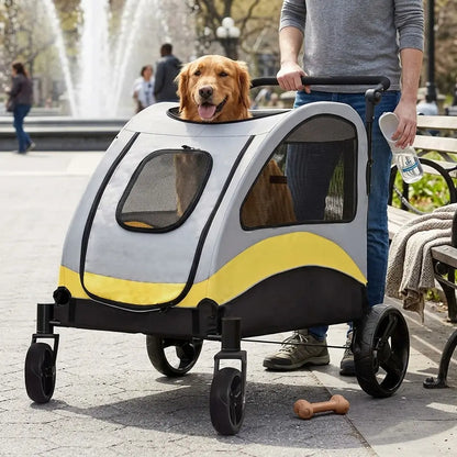 Dog in a pet stroller being pushed by a person in an urban setting with a fountain.
