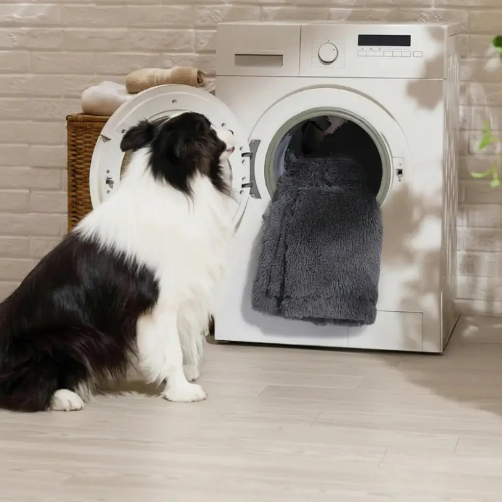 Dog looking into an open dryer with a ta dog bed cover inside, next to a laundry basket