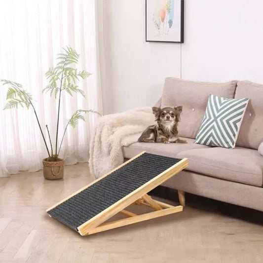 Dog on a couch with a pet ramp in a living room setting