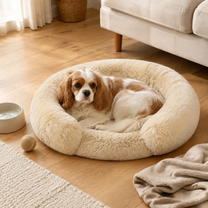 Dog resting calmly in the plush round dog bed with raised bolster