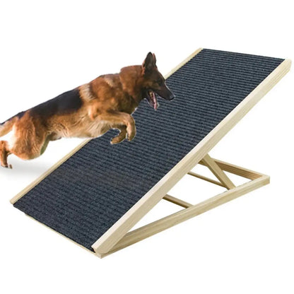 Dog running on a pet ramp with a white background