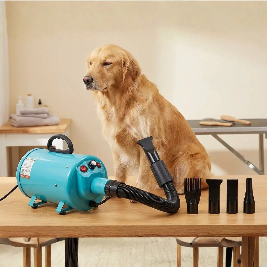 Dog sitting next to a blue pet dryer with attachments on a wooden table