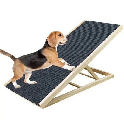 Dog standing on a pet ramp with a white background