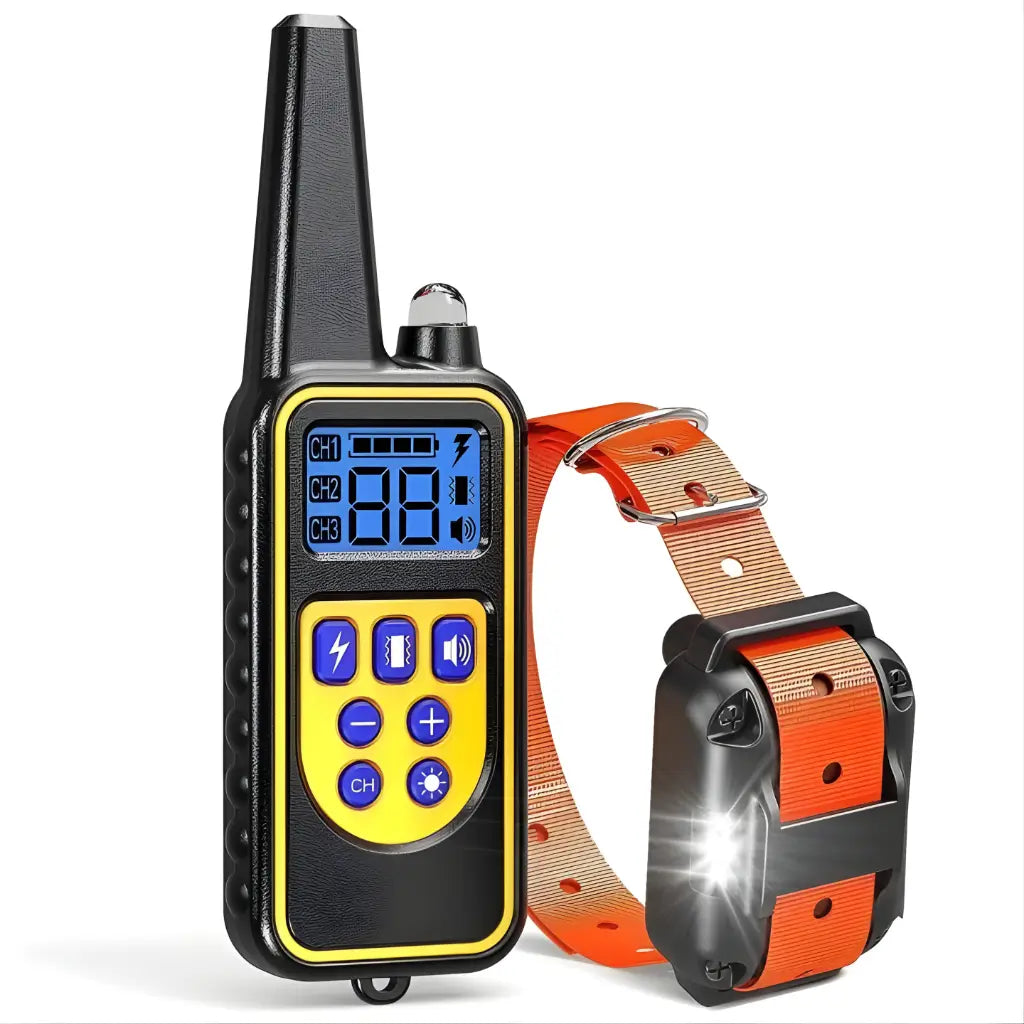 Dog training collar with orange belt and remote control on a white background
