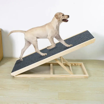 Dog walking on a wooden ramp with a black mat on a wooden floor