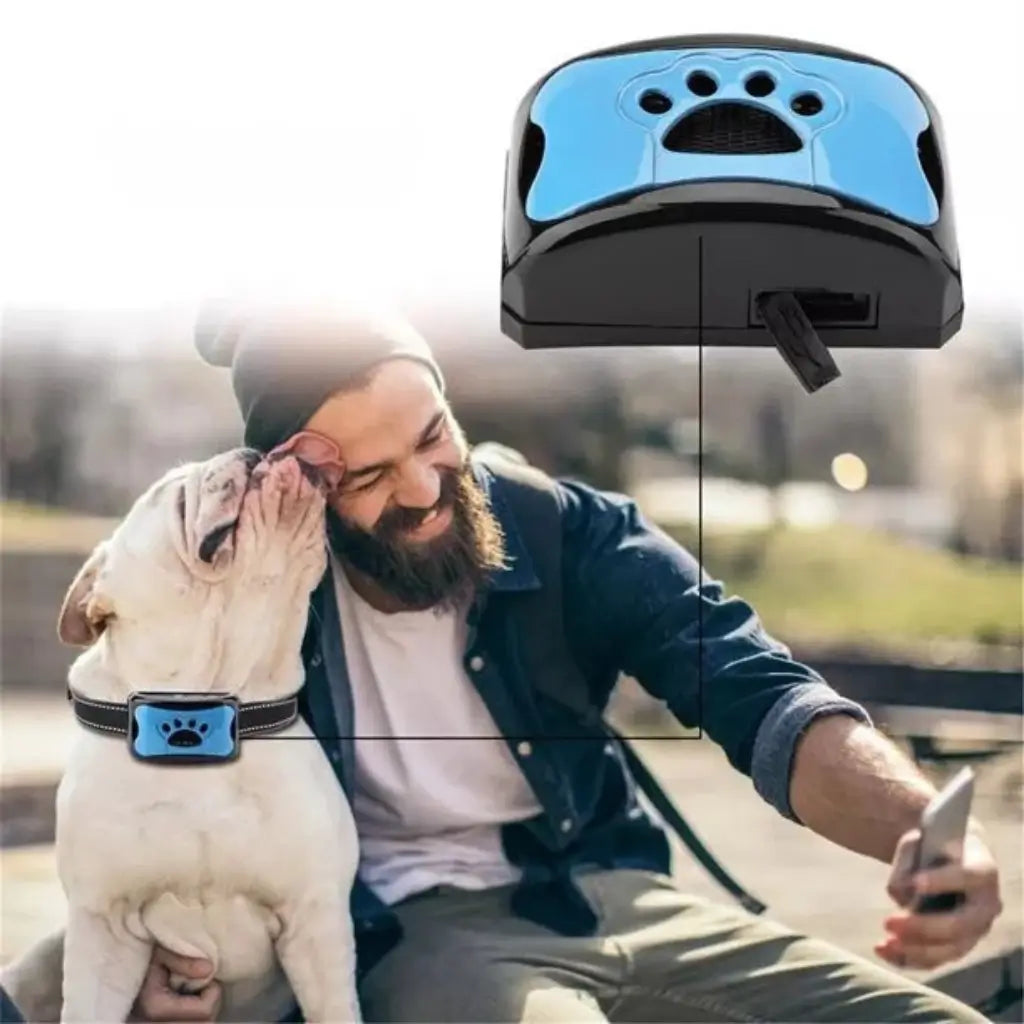 Dog wearing a blue electronic collar showing it's usb plug with a man petting the dog outdoors