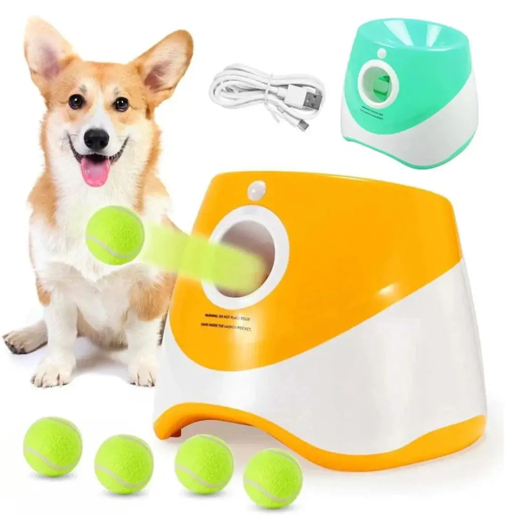 Dog with a ball launcher and tennis balls on a white background