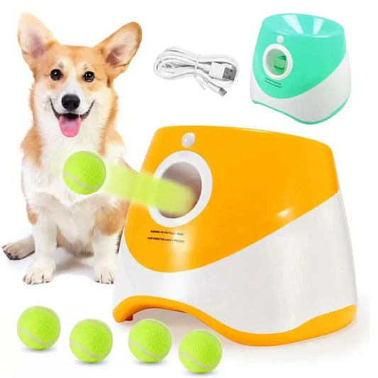 Dog with a ball launcher and tennis balls on a white background