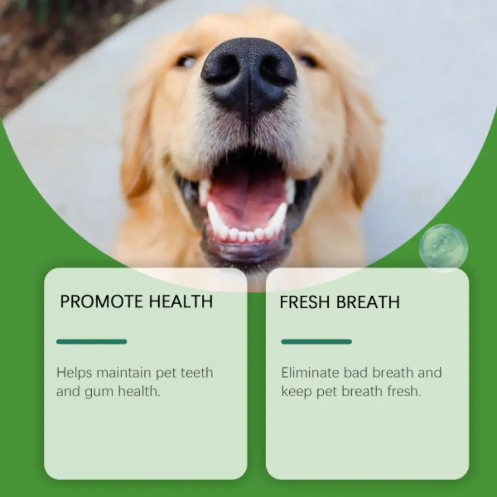 Dog with a happy expression on a green background with text about pet health and fresh breath.