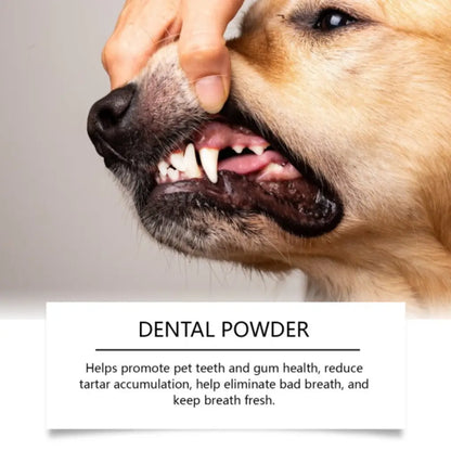 Dog with open mouth showing teeth, with text about dental powder benefits.