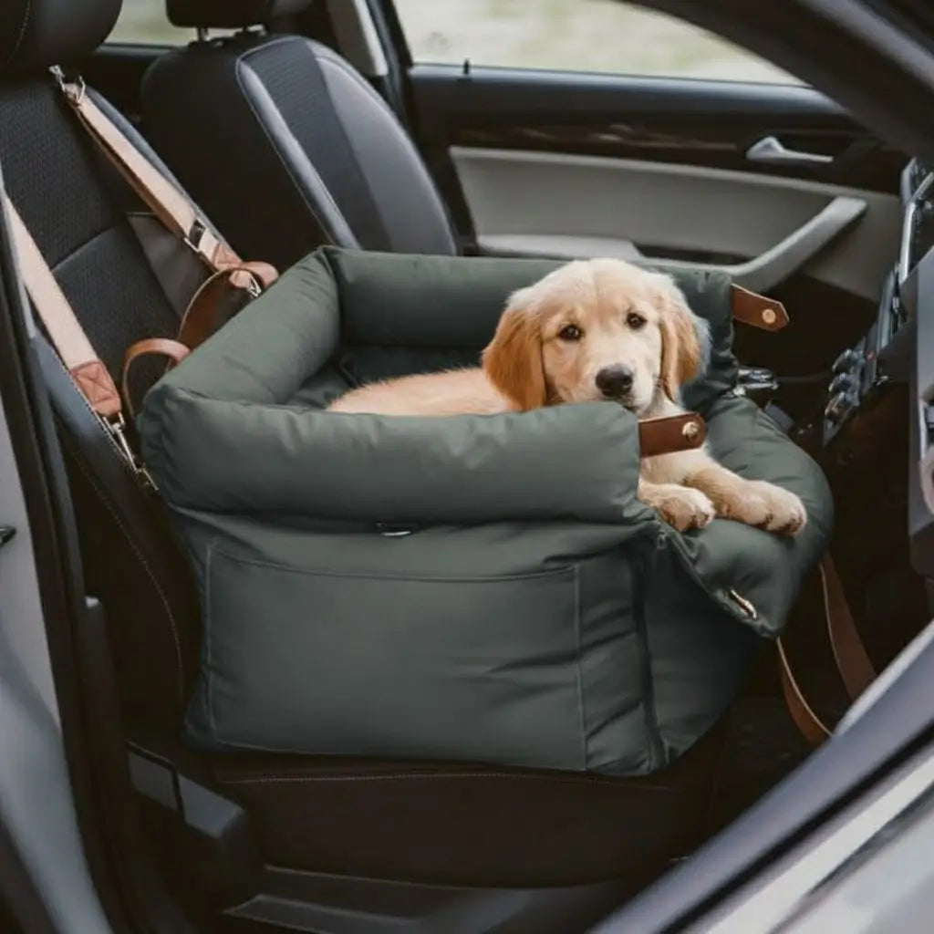 Dogr elaxing in the dark blue Urban Voyager 