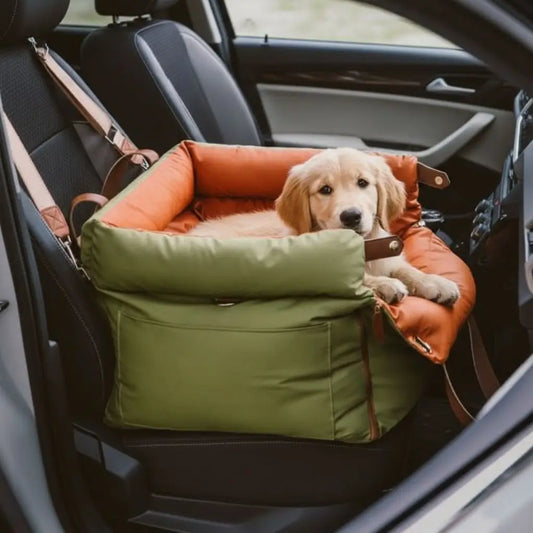Dogr elaxing in the green orange Urban Voyager 