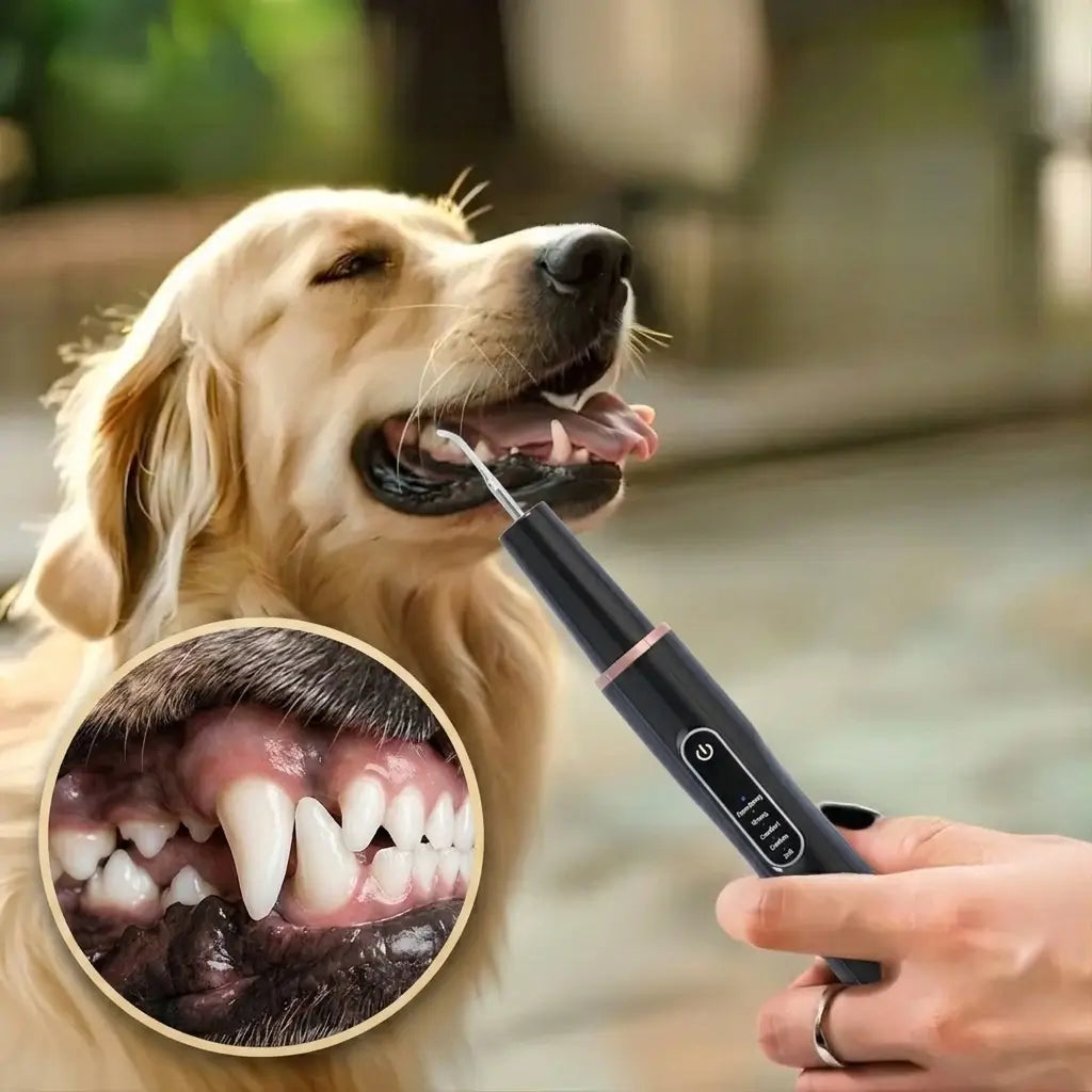 Dogs And Cats Tartar Remover, Pet Teeth Cleaning Tool, Electric Ultrasonic black