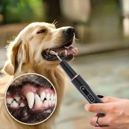 Dogs And Cats Tartar Remover, Pet Teeth Cleaning Tool, Electric Ultrasonic black