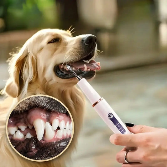 Dogs And Cats Tartar Remover, Pet Teeth Cleaning Tool, Electric Ultrasonic white
