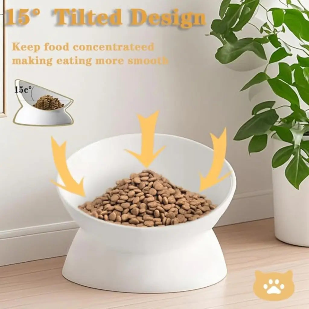 Elevated Tilted Ceramic Pet Bowl with Matte Finish 1