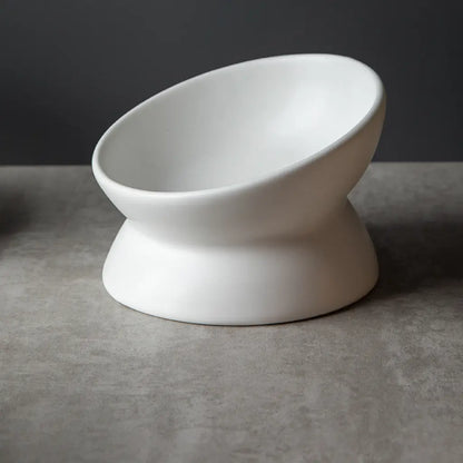 Elevated Tilted Ceramic Pet Bowl with Matte Finish 2